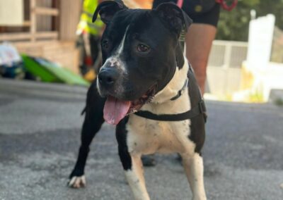 Tyson