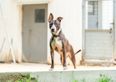Paco