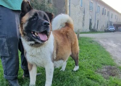 Milka – Adoptée en Novembre 2025