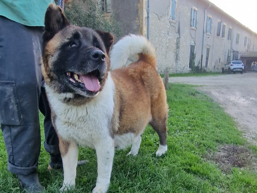 Milka – Adoptée en Novembre 2025