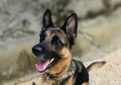 Cheyenne