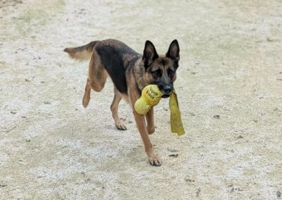 Cheyenne