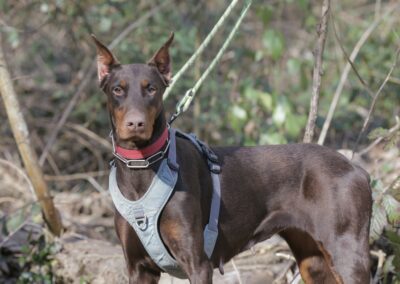 Ina – Adoptée en Juillet 2025