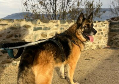 Nounours – Réservé