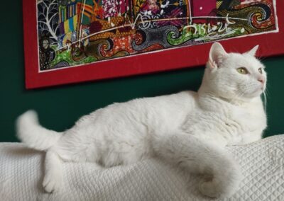 Snow – Adopté en Mars 2025
