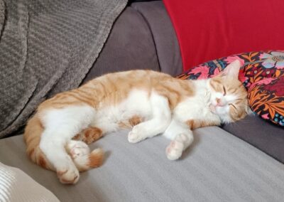 Tinou – Adopté en Juin 2025