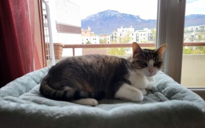 Fauve – Visible en famille d&rsquo;accueil