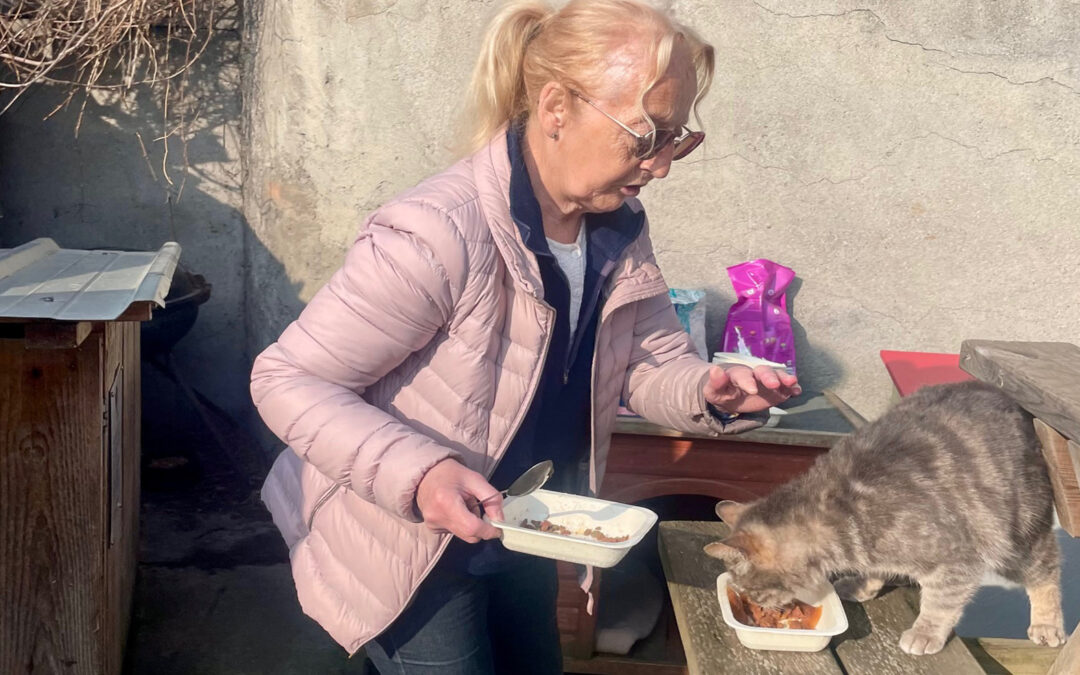 Brigitte, la catwoman des chats de rue