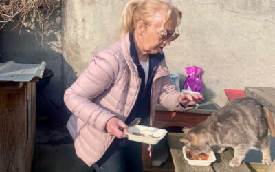 Brigitte, la catwoman des chats de rue