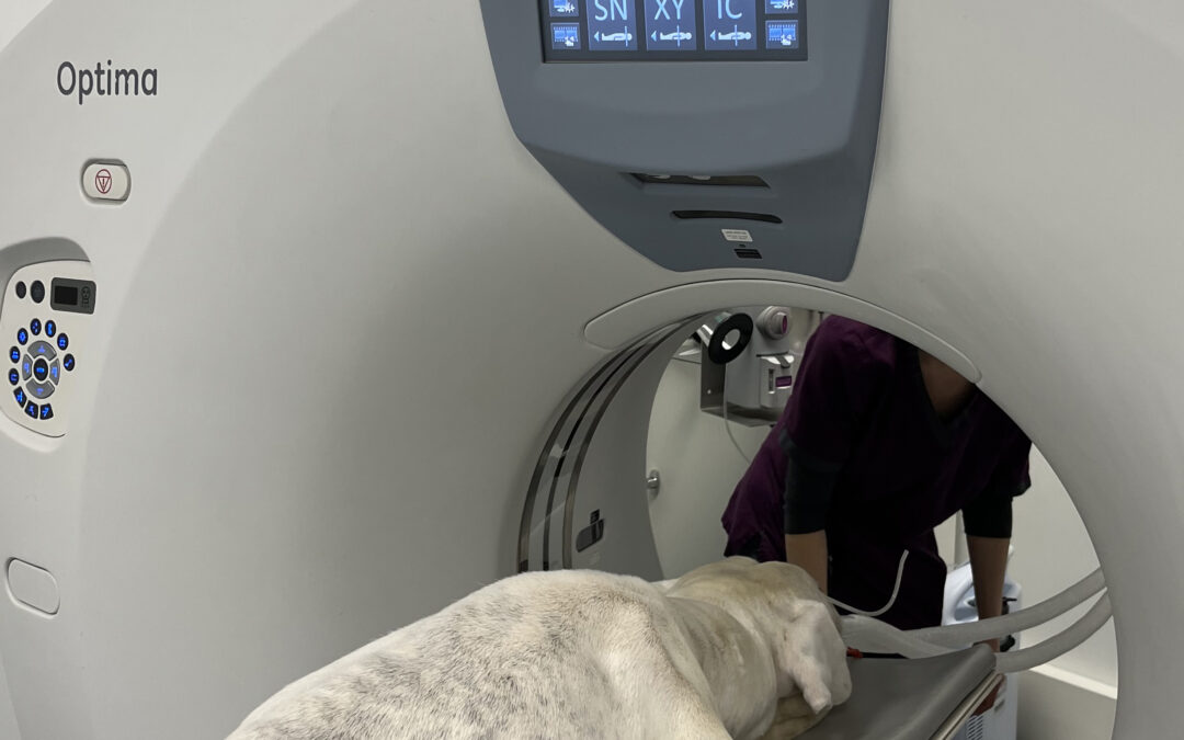 Un scanner et endoscope à Fontaine