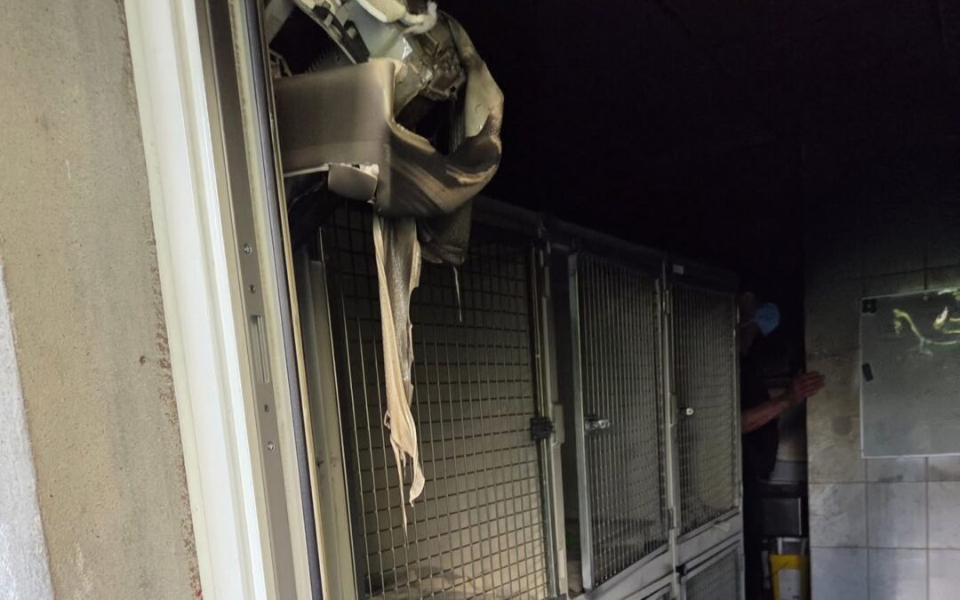 Un incendie endommage la chatterie de Grenoble