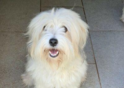 Nilava – Adoptée en Juin 2025