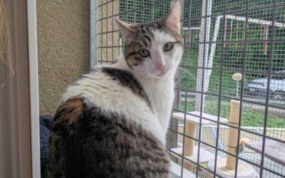 Titou – Adopté en Mai 2025