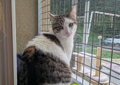 Titou – Adopté en Mai 2025