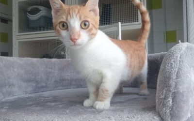 Misty – Réservée