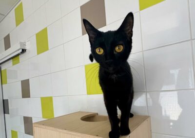 Kiki