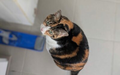 Mia