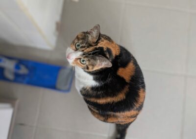 Mia