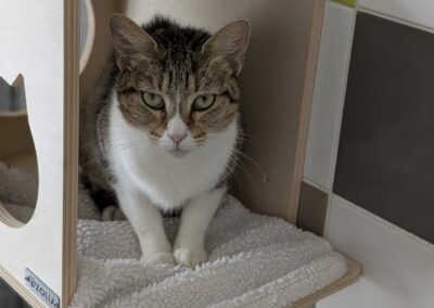 Kera – Adoptée en Septembre 2025