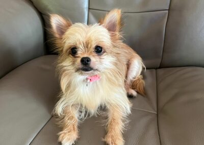 Eden – Adoptée en Juillet 2025