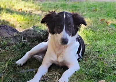 Fleur – Visible en famille d’accueil