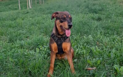 Aby – Adoptée en Octobre 2025