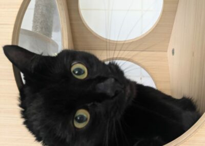 Titou