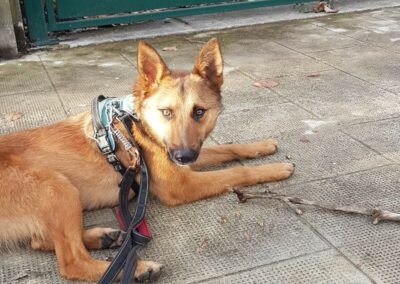 Tao – Visible en famille d&rsquo;accueil