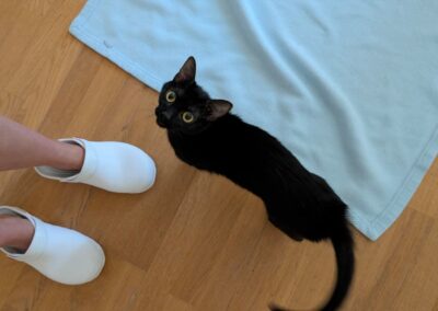 Ulolie – Adoptée en Août 2025