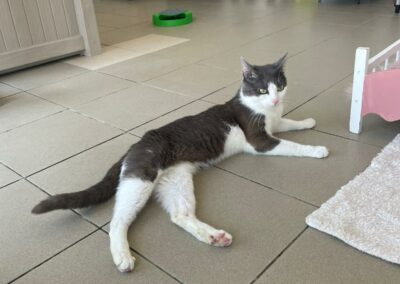 Kami – Adopté en Août 2025