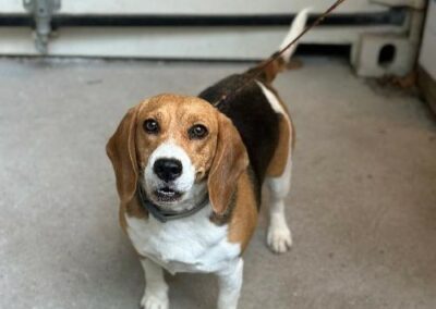 Stokholm  – Adoptée en Août 2025