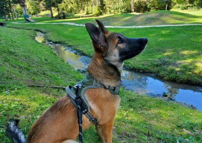 Akyra – Adoptée en Octobre 2025