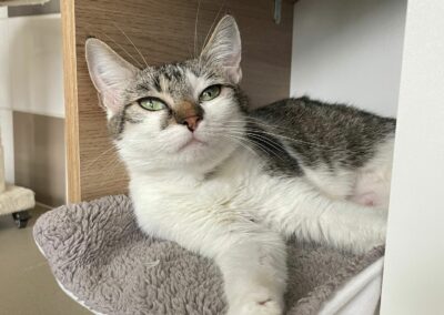 Arissa – Adoptée en Octobre 2025