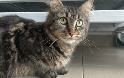 Bonnie – Réservée