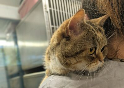 Beth – Adoptée en Octobre 2025