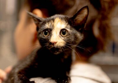 Corail – Adoptée en Octobre 2025