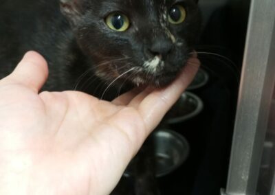 Maskotte – Réservée