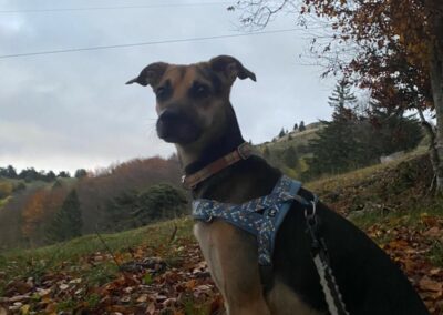 Aaron – Visible en famille d’accueil