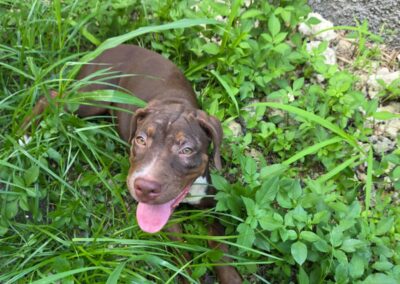 Anie – Visible en famille d&rsquo;accueil