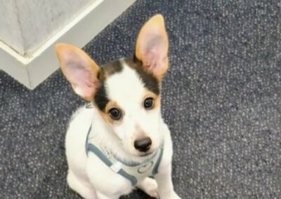 Aziel – Visible en famille d’accueil