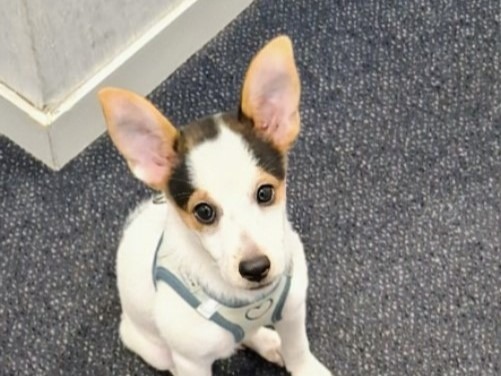 Aziel – Nous ne prenons plus de demandes