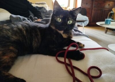 Bridget – Visible en famille d’accueil