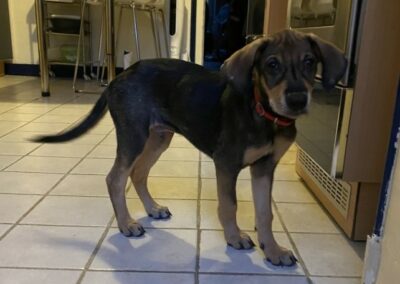 Endjie – Visible en famille d’accueil