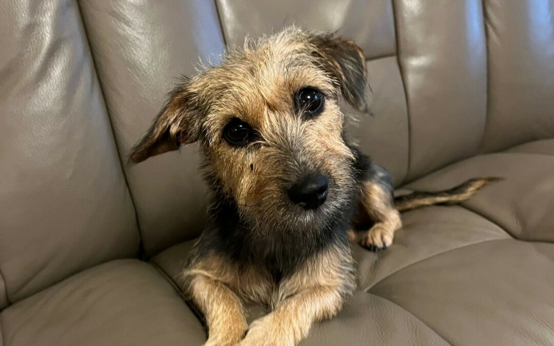 Genhye – Visible en famille d’accueil