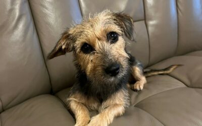 Genhye – Visible en famille d’accueil