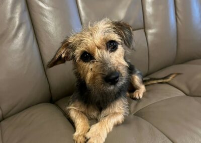 Genhye – Visible en famille d’accueil