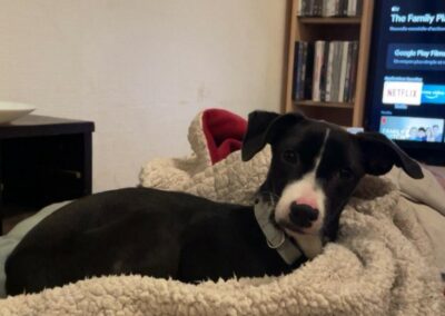 Inaya – Visible en famille d&rsquo;accueil