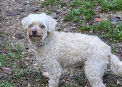 Jump – Dossier en cours