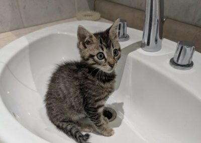 Louna – Adoptée en Novembre 2025