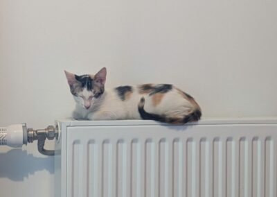 Malina – Visible en famille d’accueil